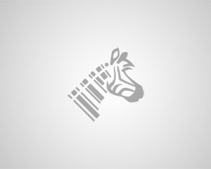 default img